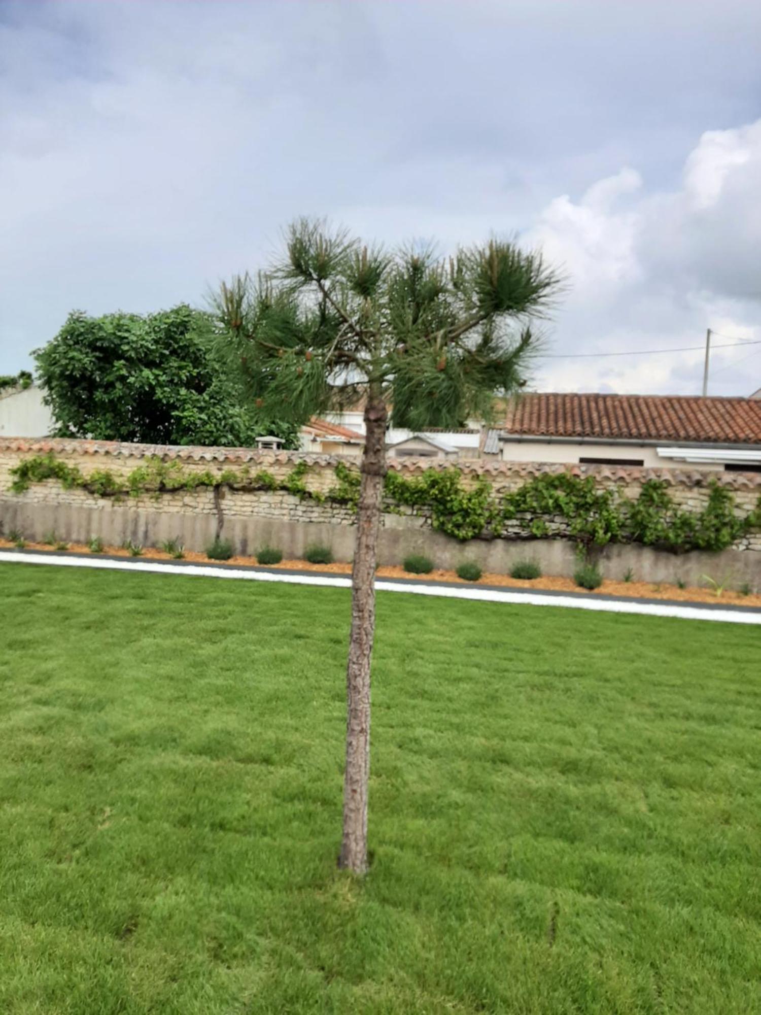 Bed and Breakfast Le Lysblanc LʼAiguillon-sur-Mer Exterior foto